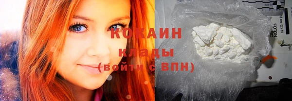 прущие грибы Балабаново