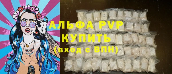 прущие грибы Балабаново
