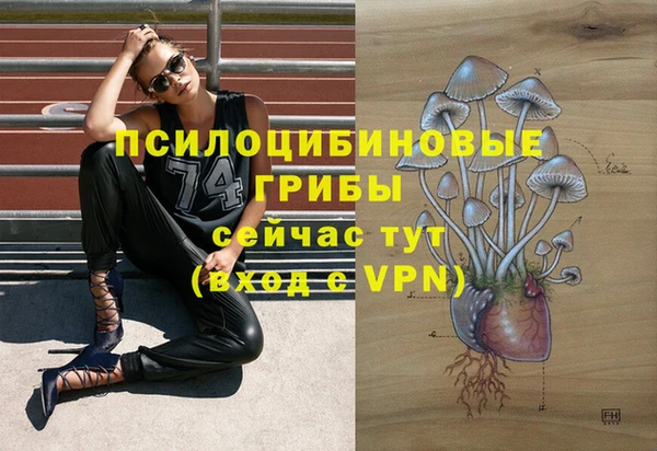 Альфа ПВП Балахна